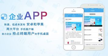 廣州企業(yè)APP開發(fā) 網(wǎng)絡(luò)與信息安全軟件的價(jià)格關(guān)切與選擇策略